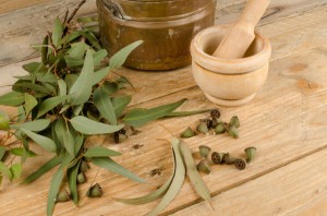 Health-Benefits-Of-Eucalyptus-Oil